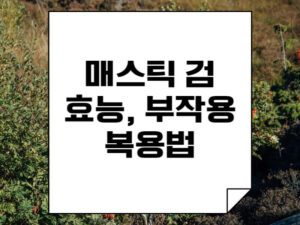 매스틱검-효능-thumbnail